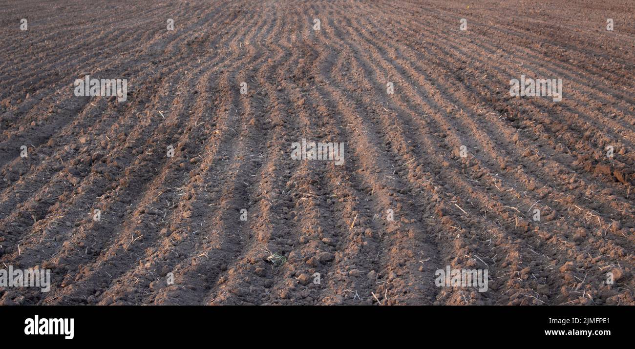 Suolo sul campo di agricoltura preparatorio alla semina, struttura di fondo del suolo coltivato Foto Stock