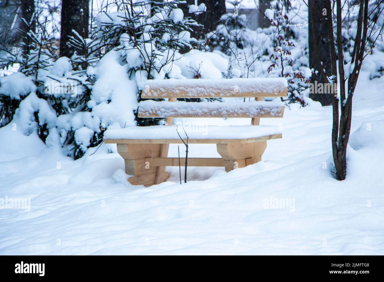 Panca innevata nel parco. Panca in legno nella mattinata d'inverno Foto Stock