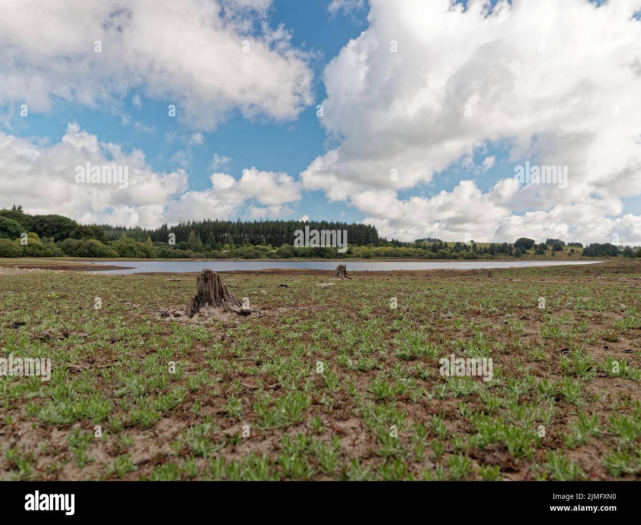 Serbatoio Fernworthy Foto Stock