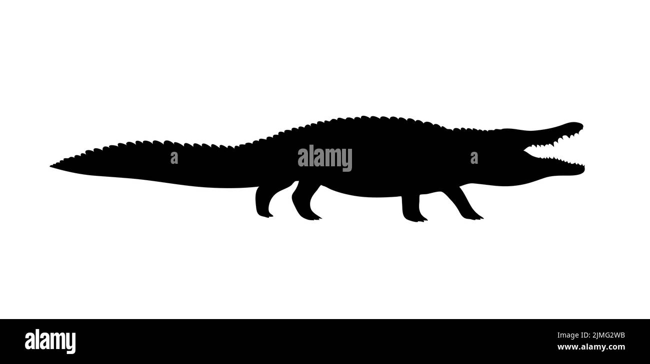 Coccodrillo a bocca aperta. Silhouette nera. Alligatore tozzo e caimano. Predator dell'Africa. Rettili di animali grandi. Modello di progettazione per etichetta, segno, registro Illustrazione Vettoriale