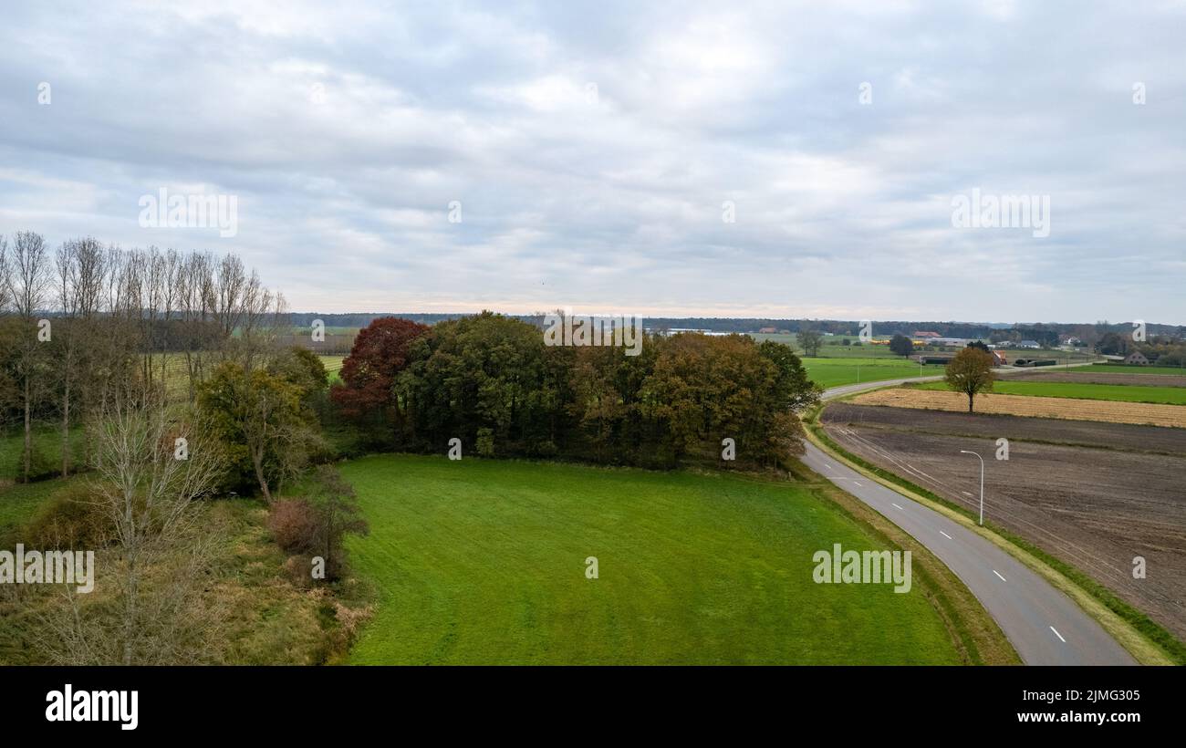 Strada autunnale vicino al campo di mais. Vista aerea, scatto con drone. Foto Stock