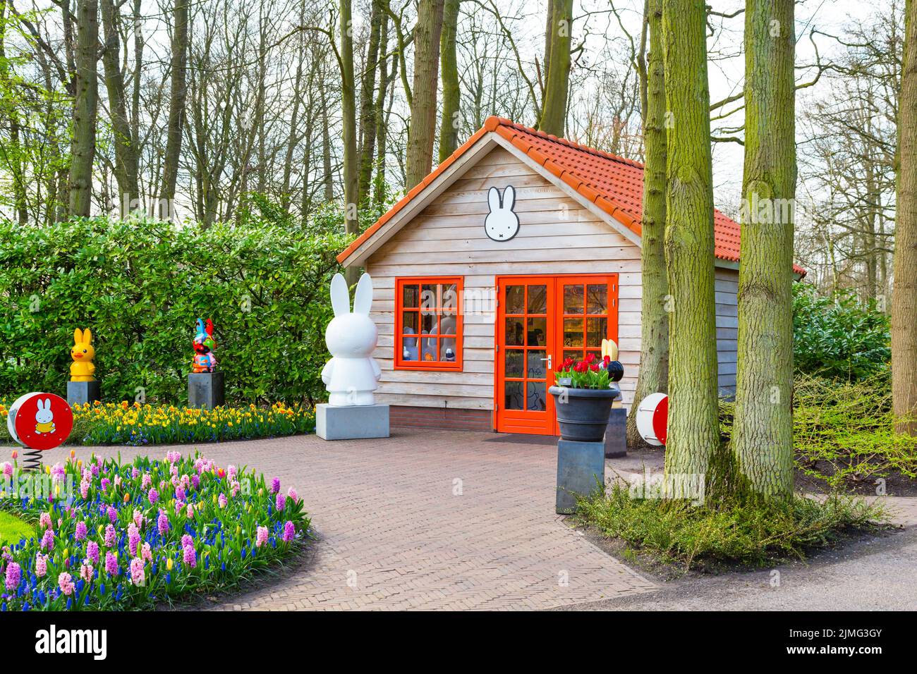 Coloratissimo Pavillion e tulipani fioriti fioriscono nel parco olandese di Lisse, Olanda Foto Stock