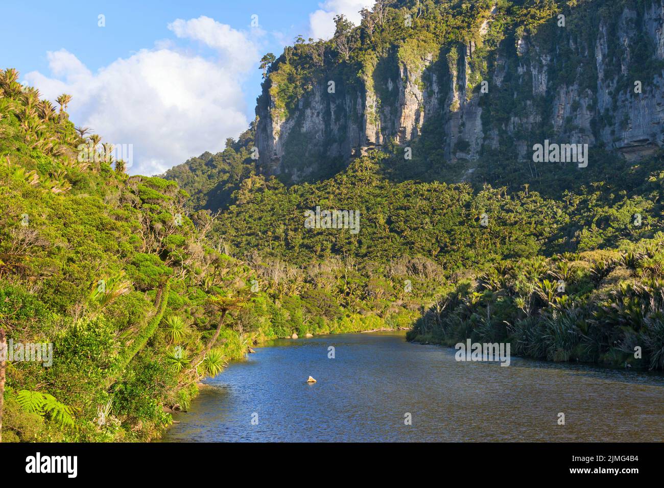 Paesaggi della Nuova Zelanda Foto Stock