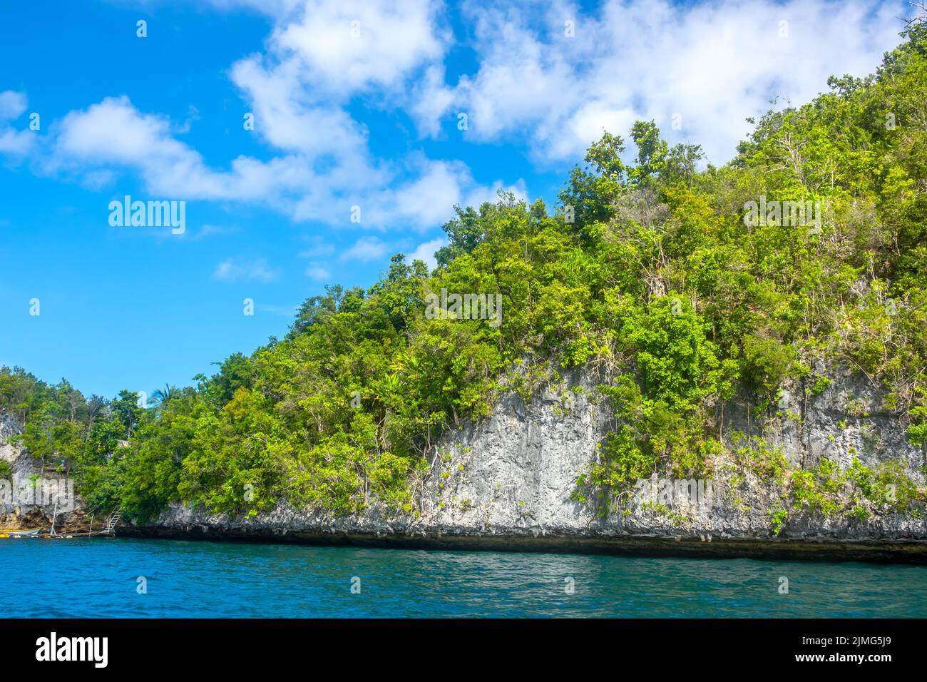 Green Rock su un'isola tropicale in Indonesia Foto Stock