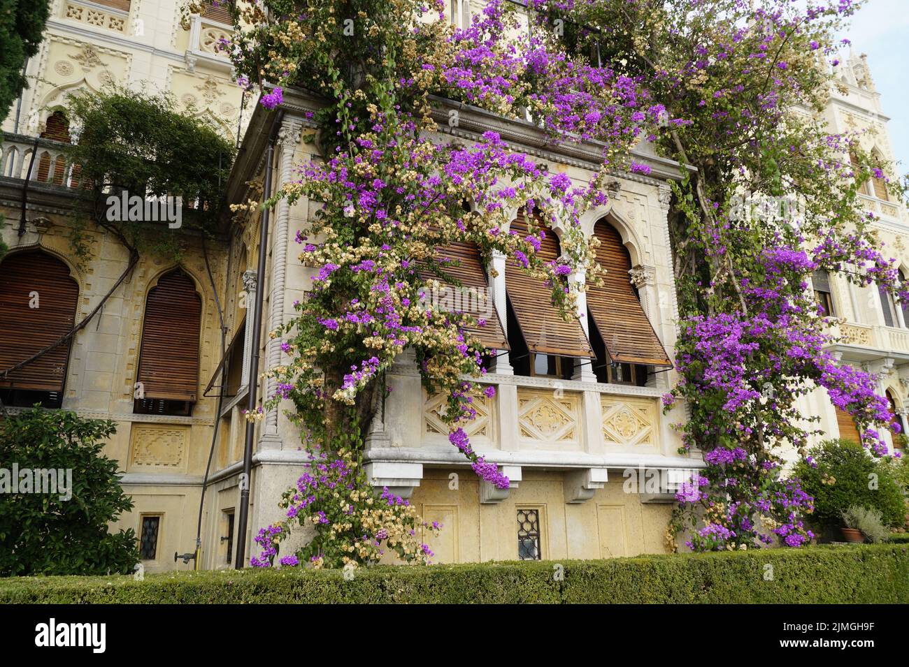 Meravigliose antiche e lunghe finestre mediterranee con persiane in legno e una pianta super lenta con bellissimi fiori rosa sull'Isola del Garda o sull'Isola di Garda Foto Stock