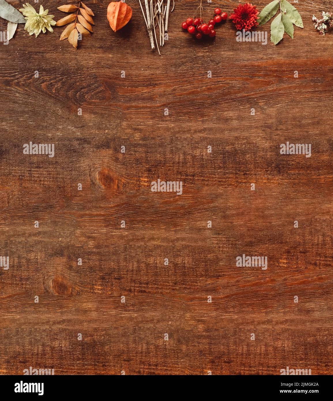 colori autunnali legno sfondo caduta disposizione Foto Stock
