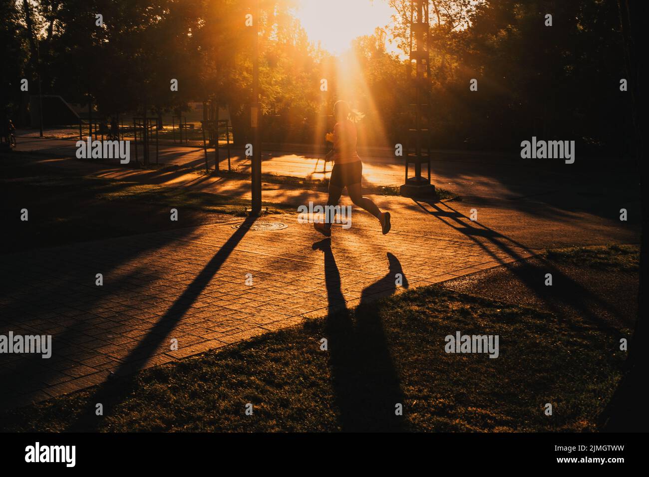 Silhouette di persona che corre nel parco al tramonto sano stile di vita attivo Foto Stock