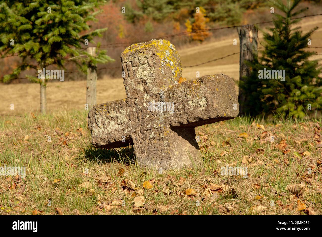 Antico cimitero. Lapidi abbandonate. Luogo di sepoltura. Podzamcok. Slovacchia. Foto Stock