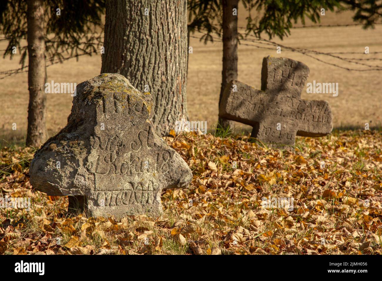 Antico cimitero. Lapidi abbandonate. Luogo di sepoltura. Podzamcok. Slovacchia. Foto Stock