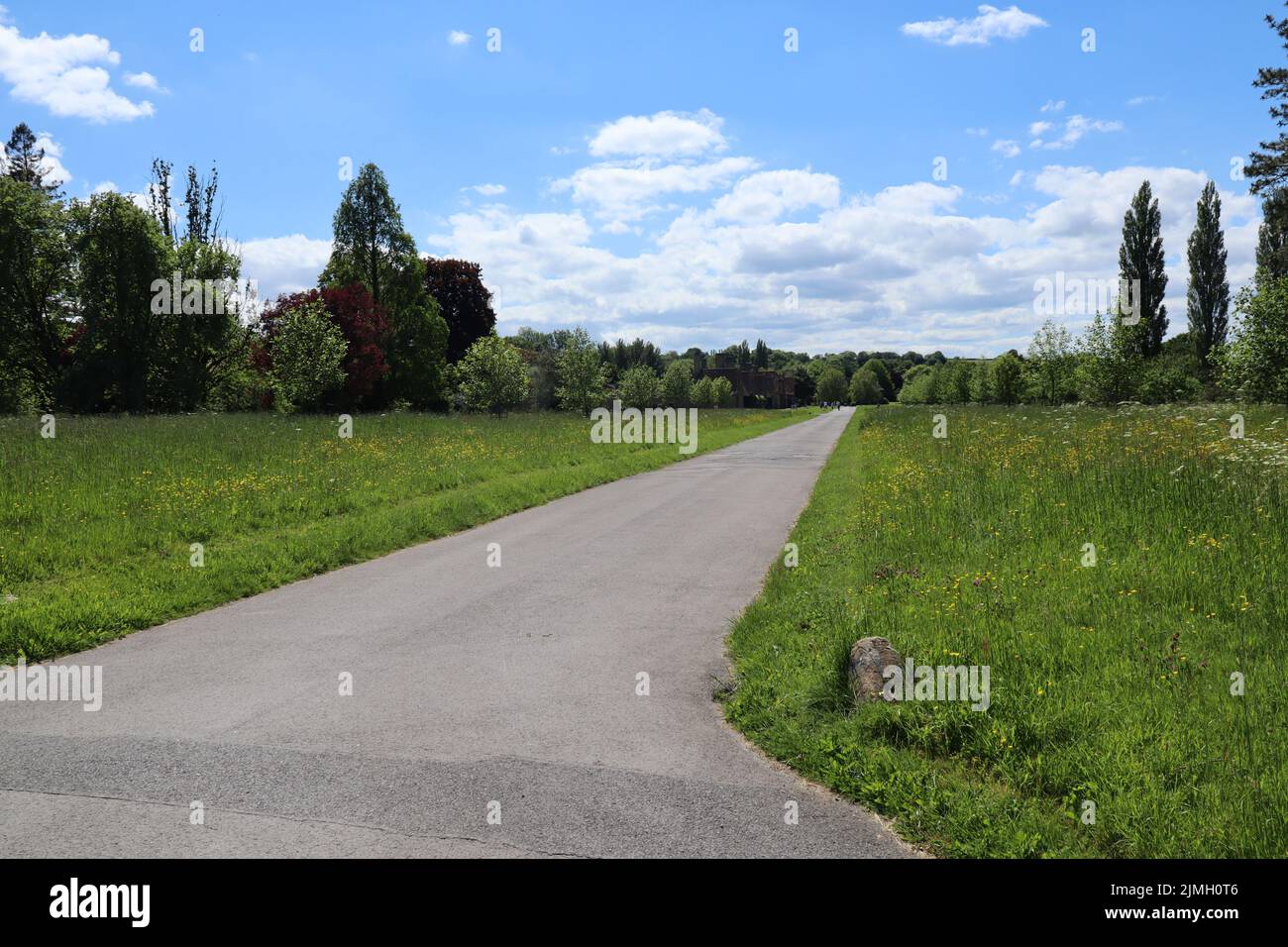 Una strada diritta conduce fuori nella distanza. Il cielo è blu con nuvole bianche e morbide Foto Stock