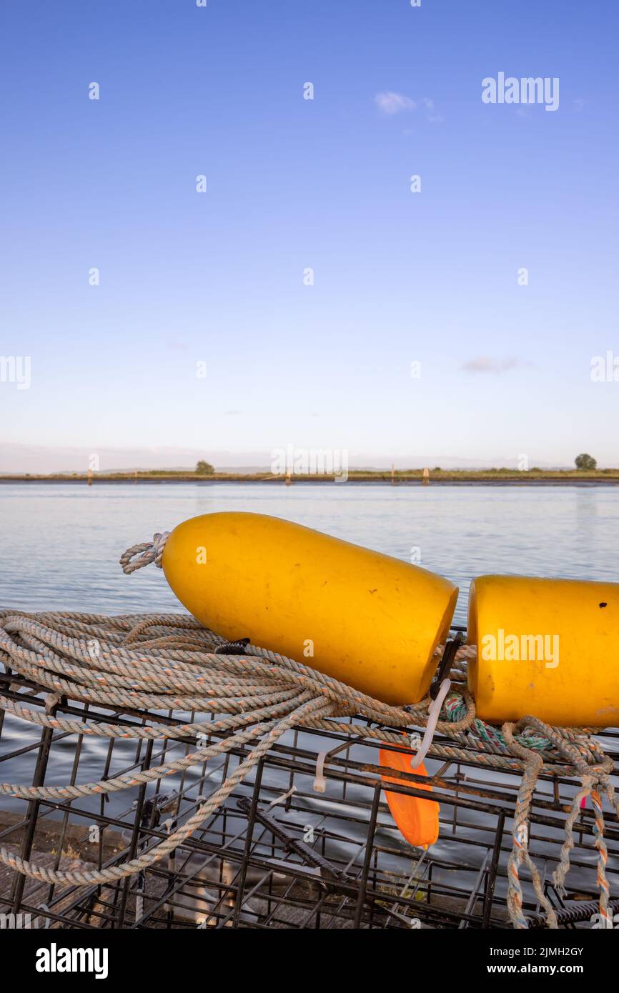 Boe gialle in cima alle gabbie di granchio presso l'Everett Marina Foto Stock