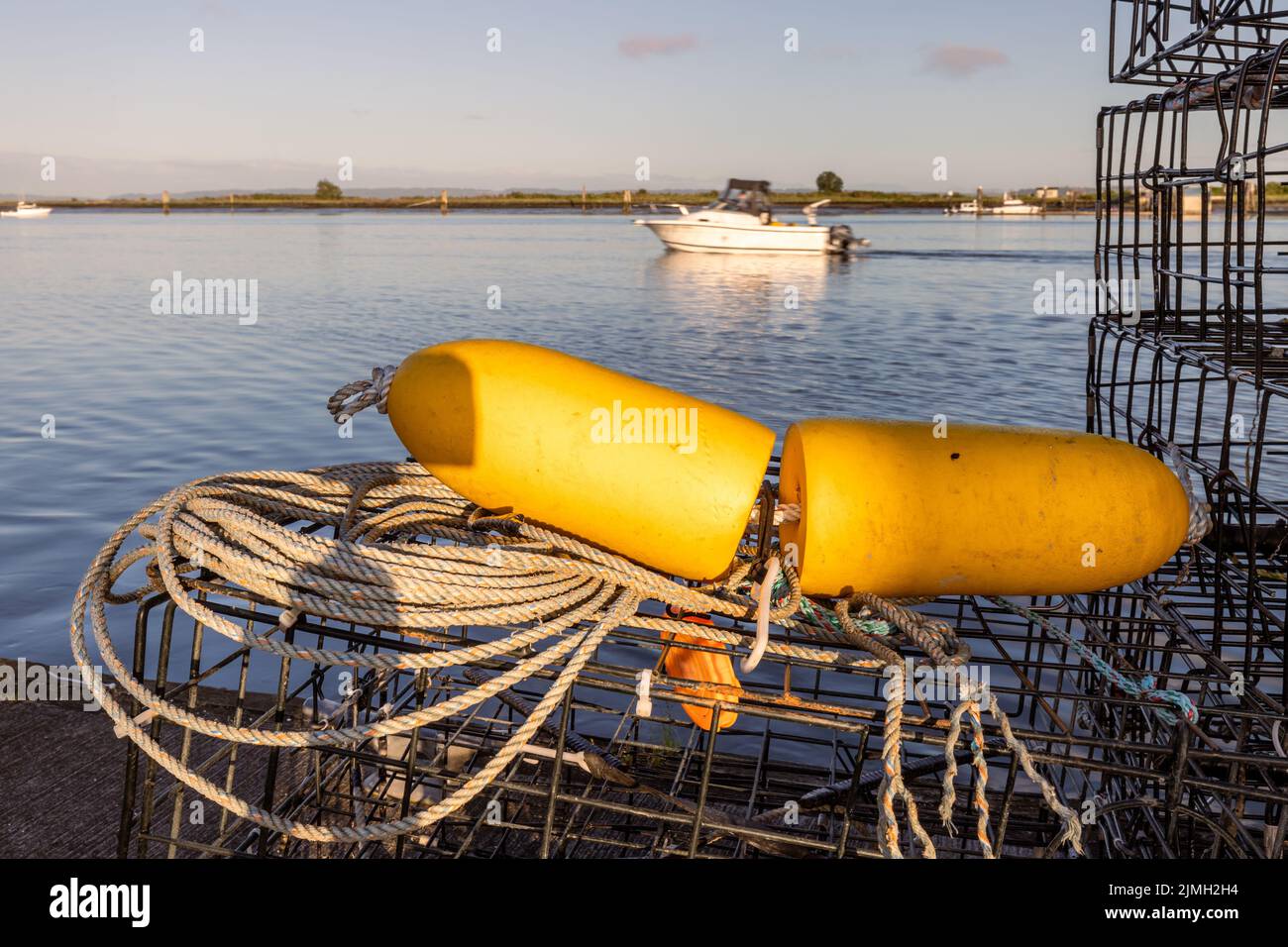 Boe gialle in cima alle gabbie di granchio presso l'Everett Marina Foto Stock