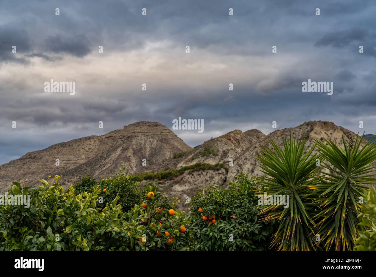 Un paesaggio montano desertico in Andalusia sotto cieli tempestosi con palme e frutteto arancione in primo piano Foto Stock