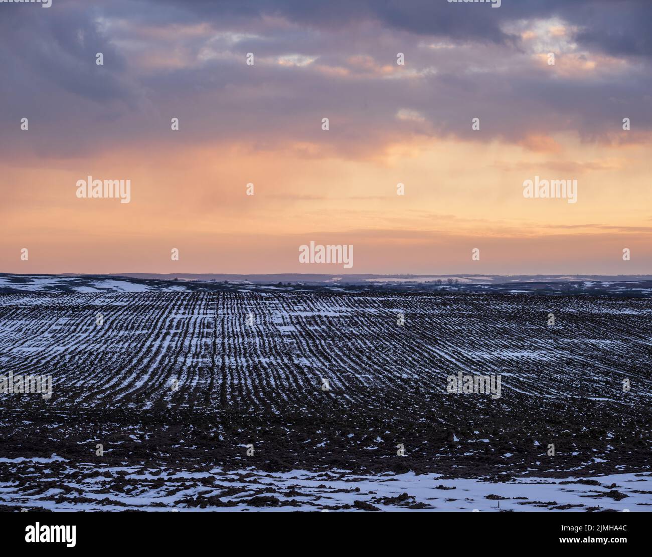 Terra nera, terra arabile coperta dall'ultima neve, primavera primaverile. Calmo tramonto serale nella campagna Ucraina, regione di Lviv Foto Stock