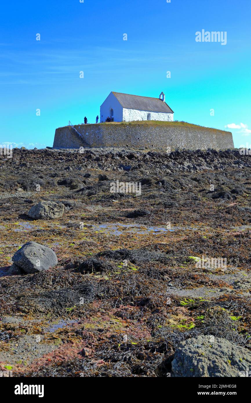 Chiesa di St Cwyfan a Porth Cwyfan in bassa marea, Aberffraw, Isola di Anglesey, Ynys Mon, Galles del Nord, REGNO UNITO. Foto Stock