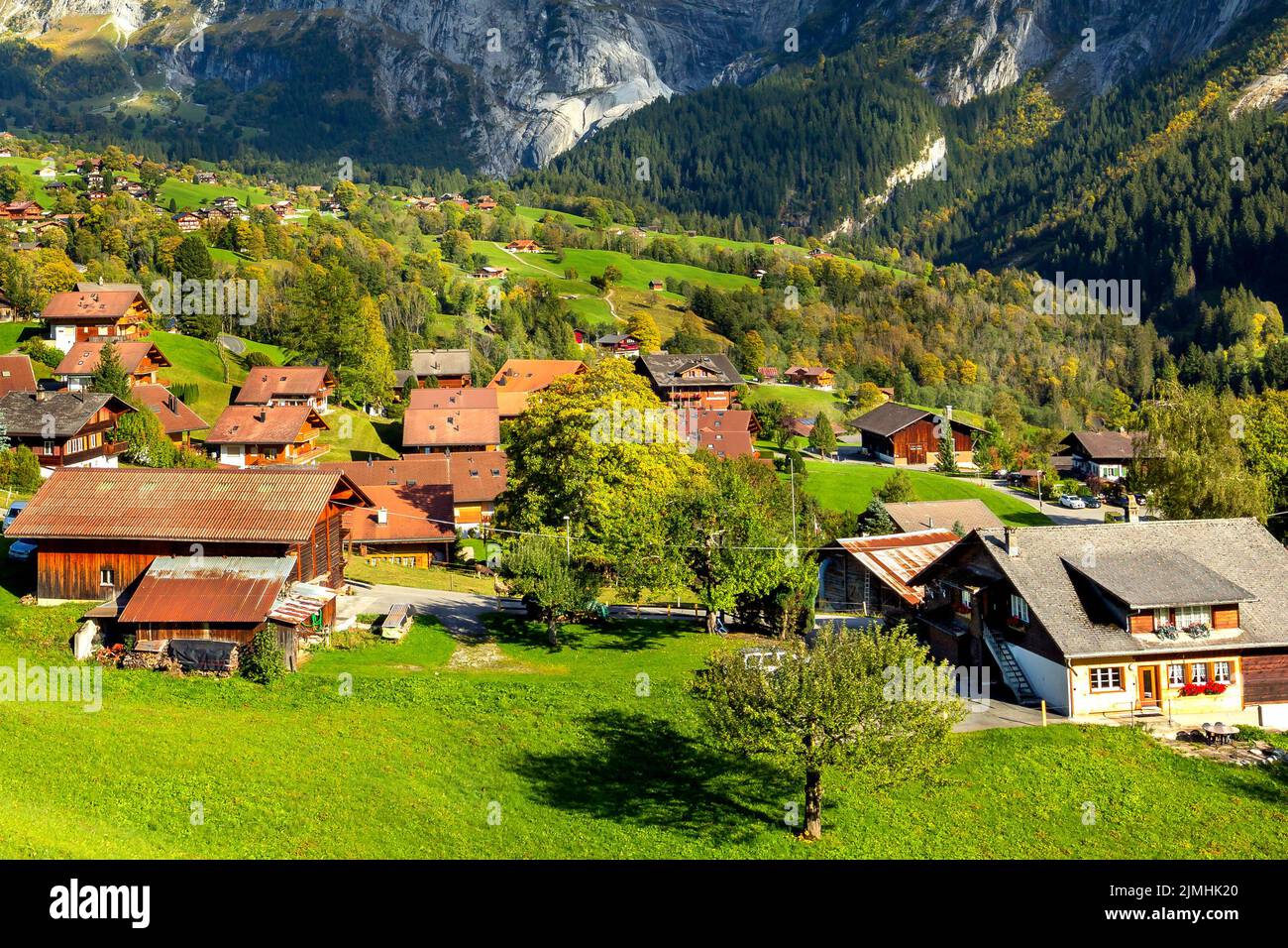 Montagne svizzere, case in legno a Grindelwald, nelle Alpi svizzere Foto Stock