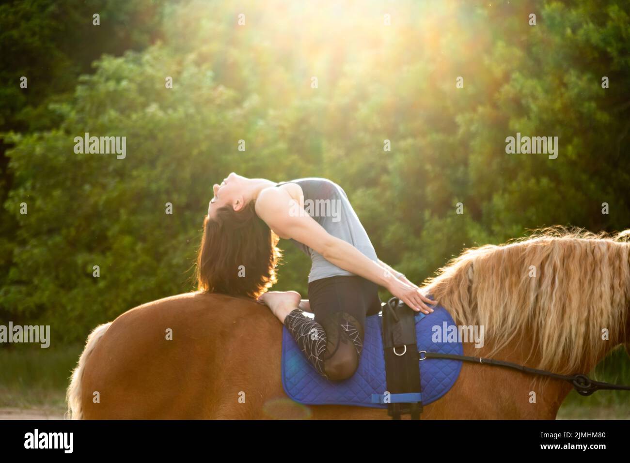 giovane donna che fa yoga su un cavallo sullo sfondo di alberi Foto Stock