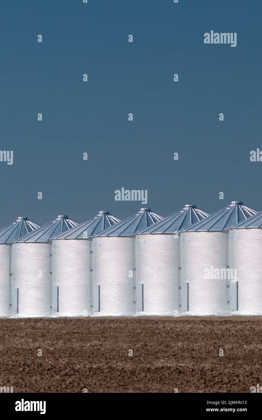 Grano di serbatoi di stoccaggio Foto Stock