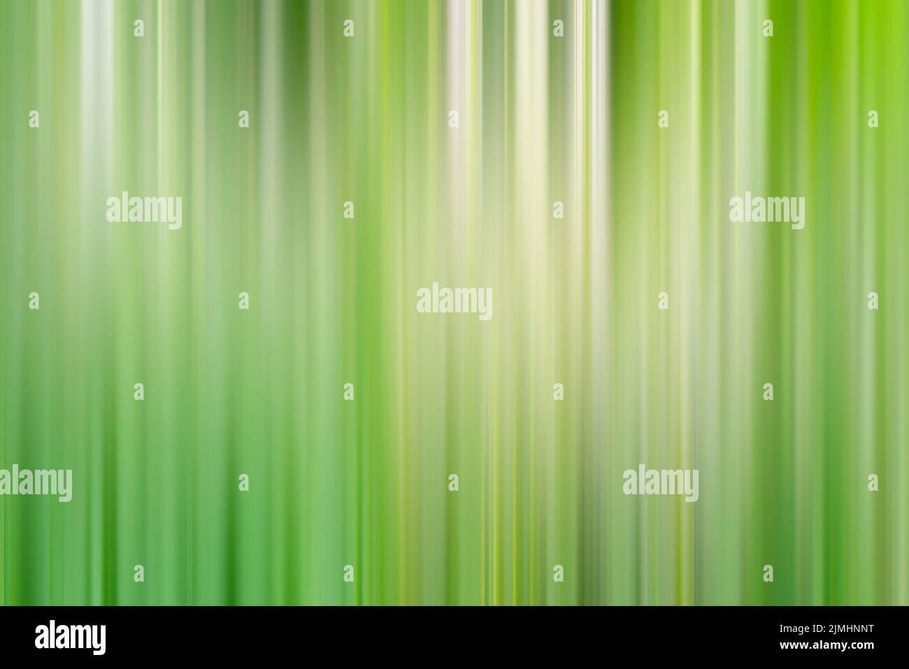 Abstract verticale linee verde dello sfondo. Foto Stock