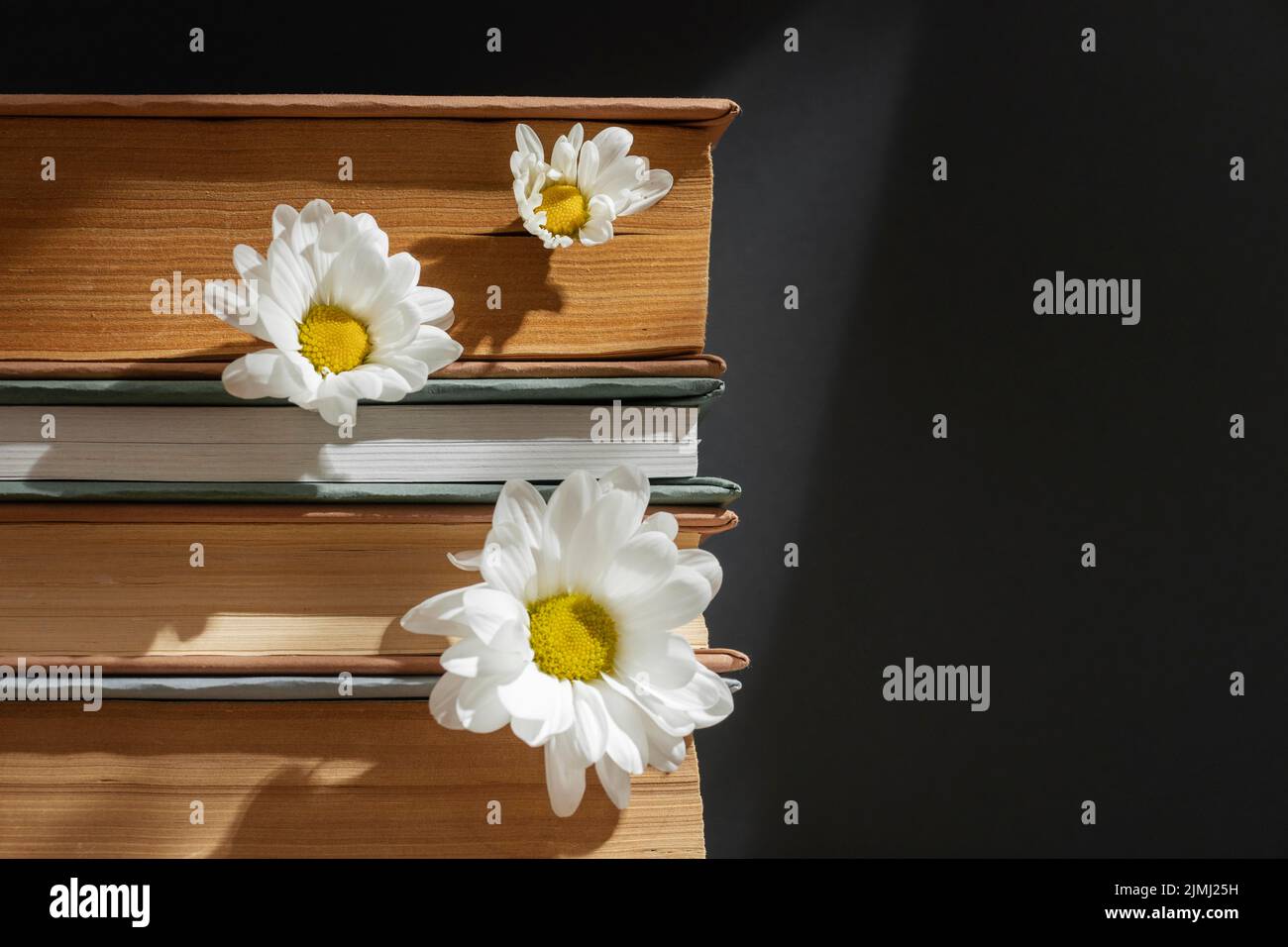 Composizione creativa con fiori di libri Foto Stock