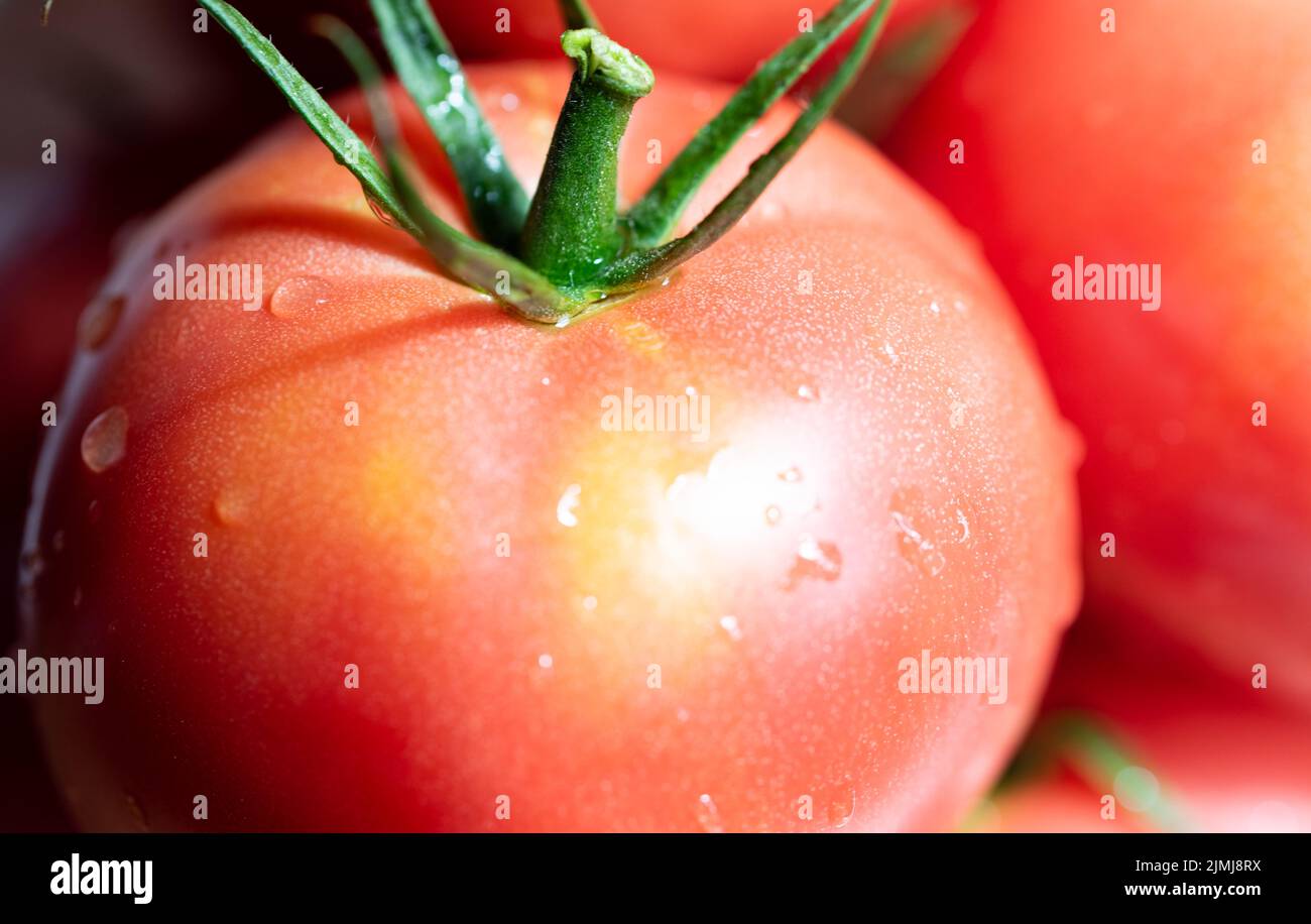 Pomodori maturi isolati. Verdure rosse in primo piano. Pomodori maturi dall'aspetto gustoso con gambi verdi. Foto Stock