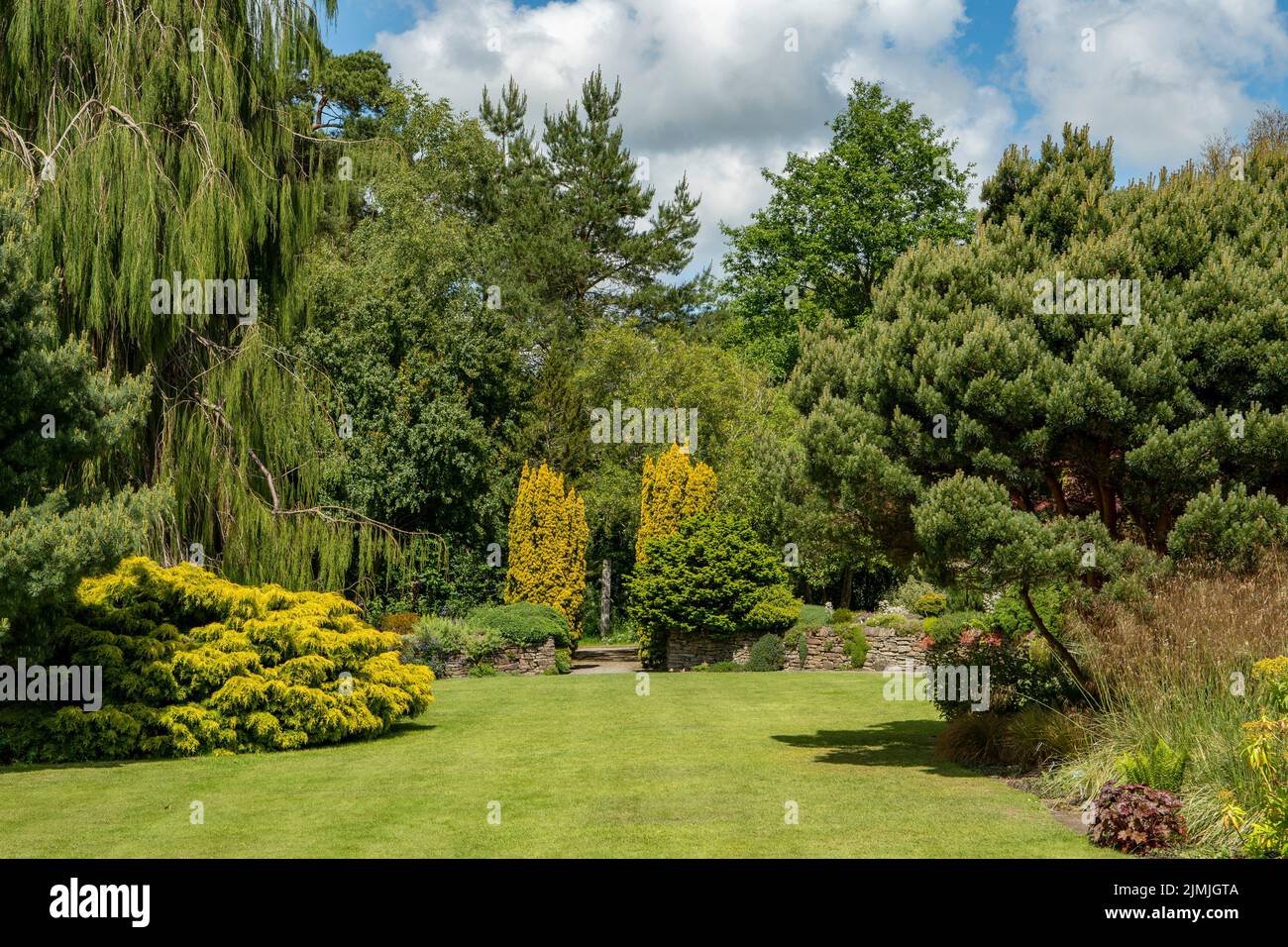 Lower Garden a Rosemoor Gardens, Torrington, Devon, Inghilterra Foto Stock
