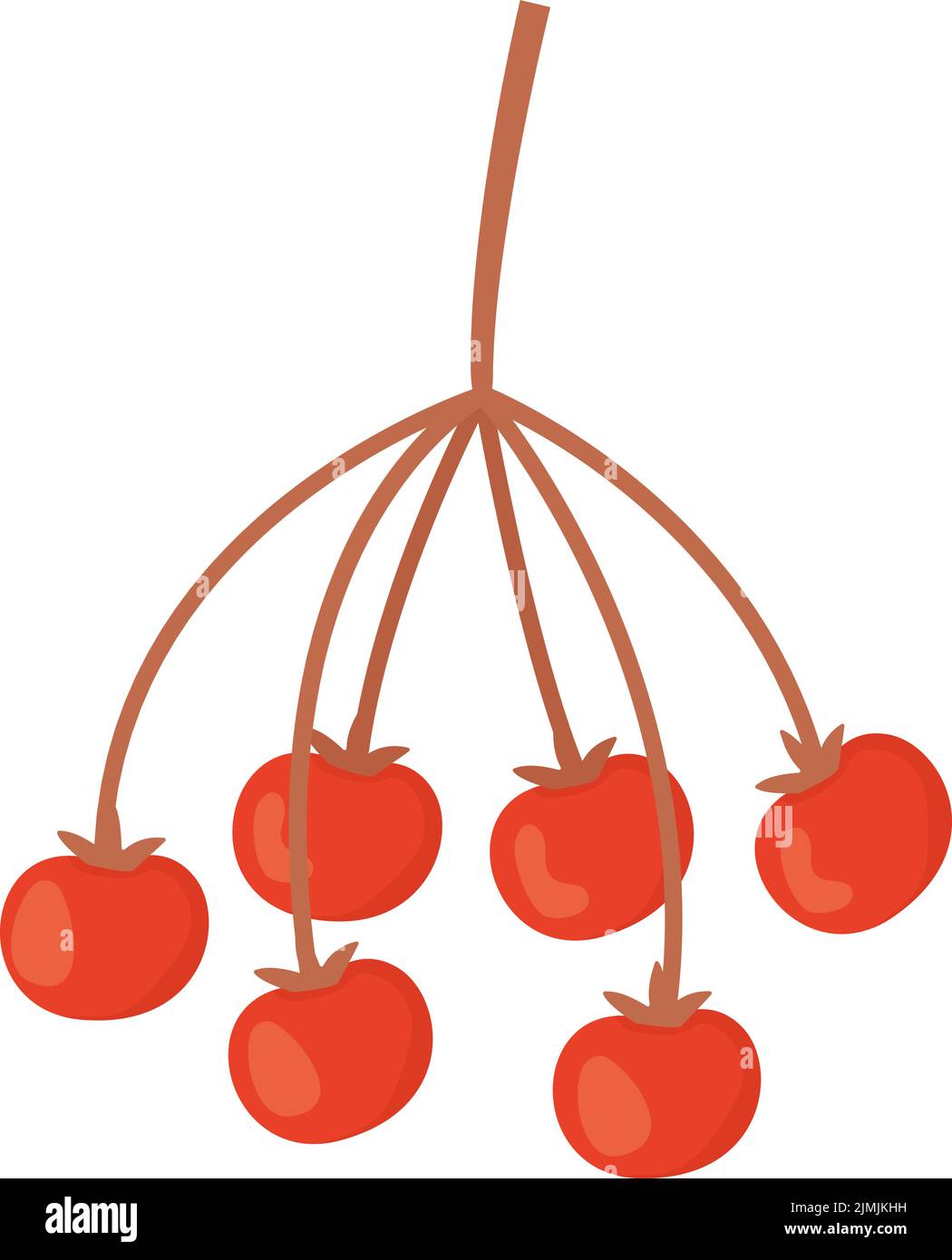 Rametto di frutti rossi di rowan. Il concetto di raccolto di autunno. Illustrazione vettoriale di scorta isolata su sfondo bianco in stile cartoon piatto Illustrazione Vettoriale
