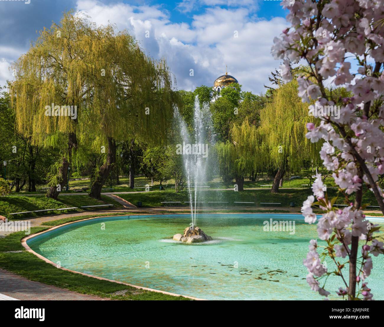 Kamianets-Podilskyi, regione Khmelnytsky, Ucraina. Bellissimo parco della città primaverile con sakura in fiore o albero in fiore di ciliegio vicino alla fontana. Foto Stock