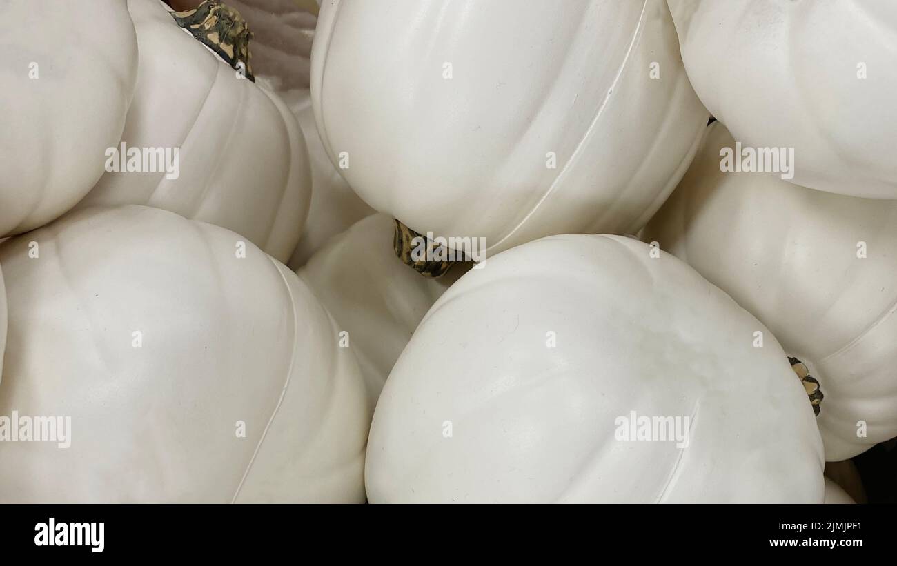 Sfondo bianco con texture di zucca. Aggiungi il tuo messaggio di Halloween personalizzato questo ottobre 31 con questa grafica minimalista. Foto Stock