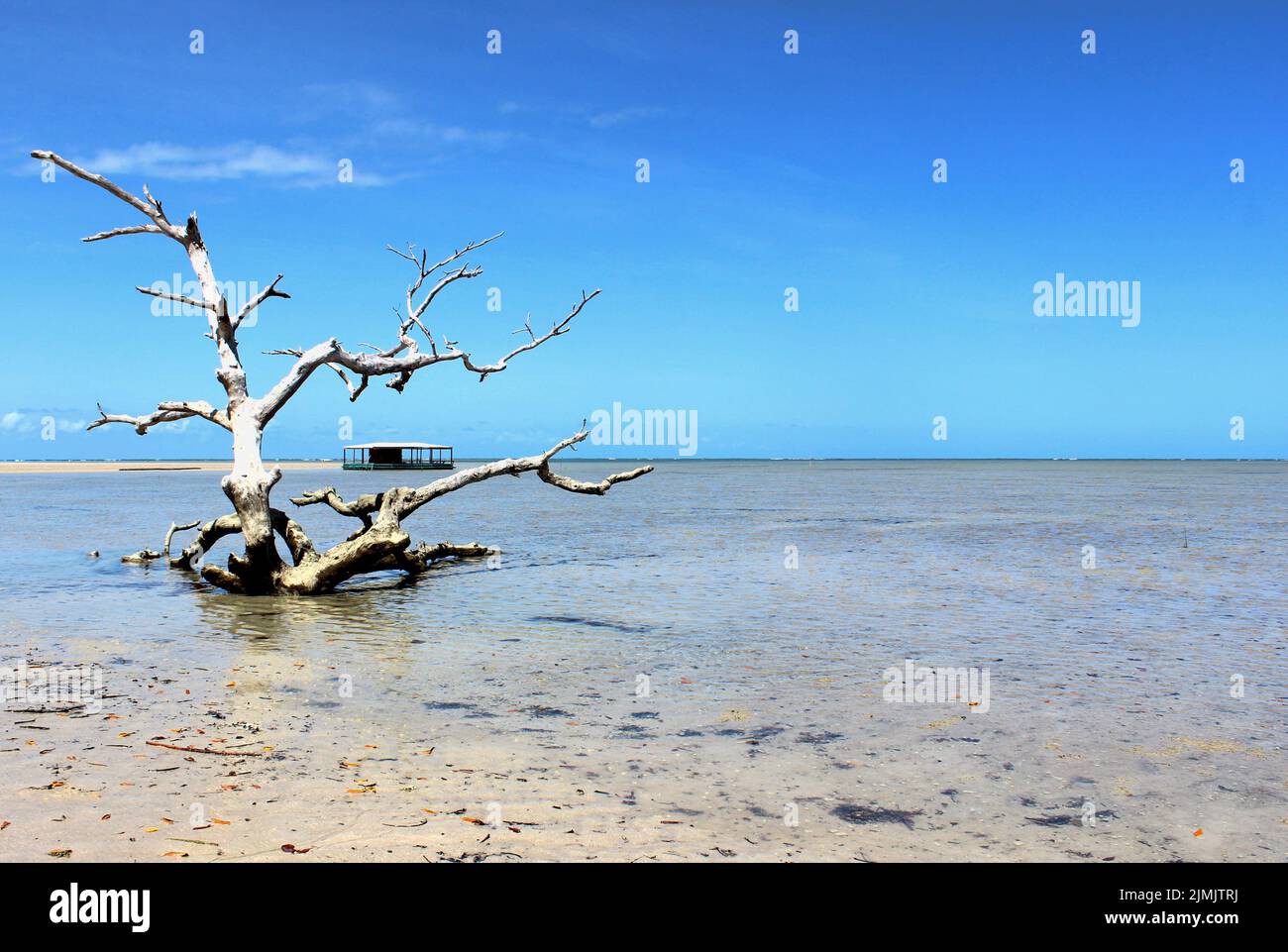 Pittoresco paesaggio di spiaggia con tronco d'albero, capanna di pescatori, mare cristallino e cielo blu. Foto Stock