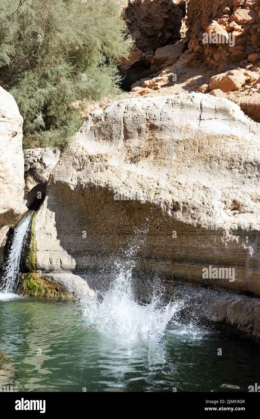 Un ragazzo salta in acqua da una roccia Foto Stock