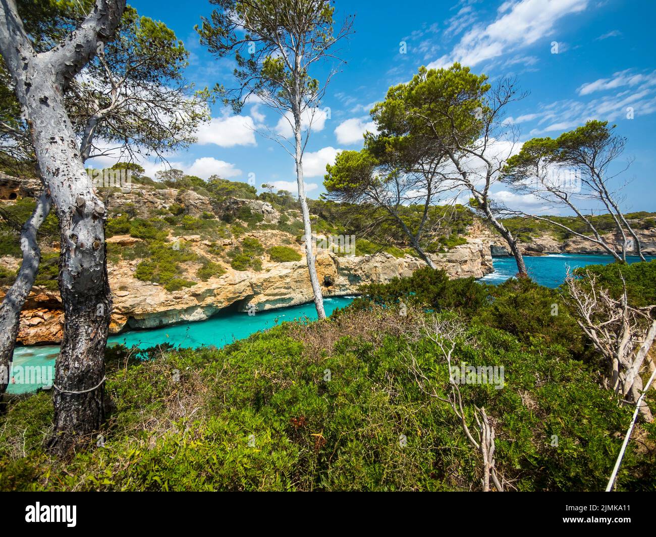 OLYMPUS FOTOCAMERA DIGITALE Foto Stock