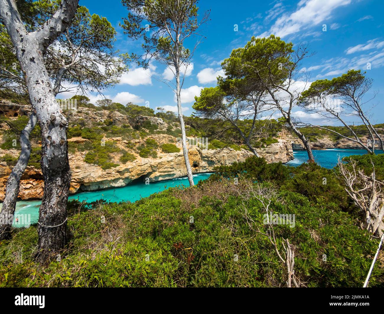 OLYMPUS FOTOCAMERA DIGITALE Foto Stock