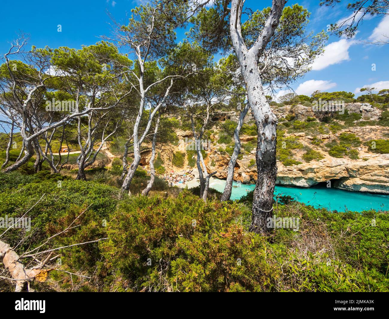 OLYMPUS FOTOCAMERA DIGITALE Foto Stock