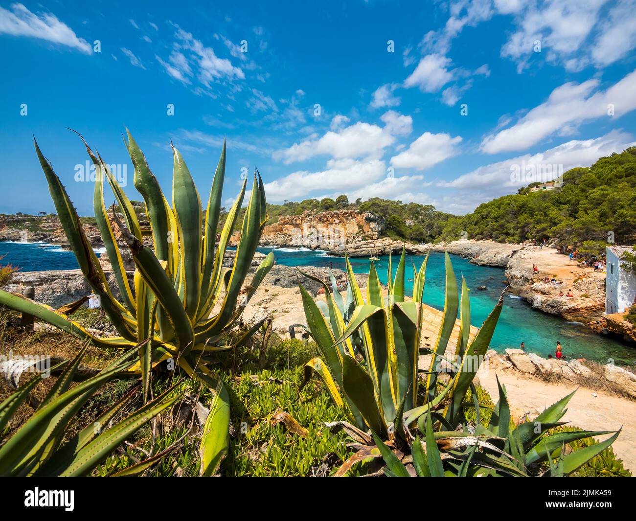 OLYMPUS FOTOCAMERA DIGITALE Foto Stock