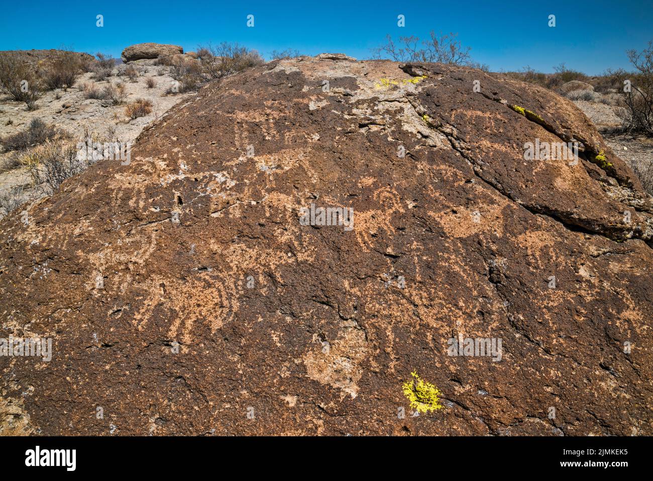 La pecora di Bighorn figura i petroglifi all'affioramento del tufo, il sito d'arte della roccia di Ash Springs, la valle di Pahranagat, vicino ad Ash Springs, Nevada, Stati Uniti Foto Stock