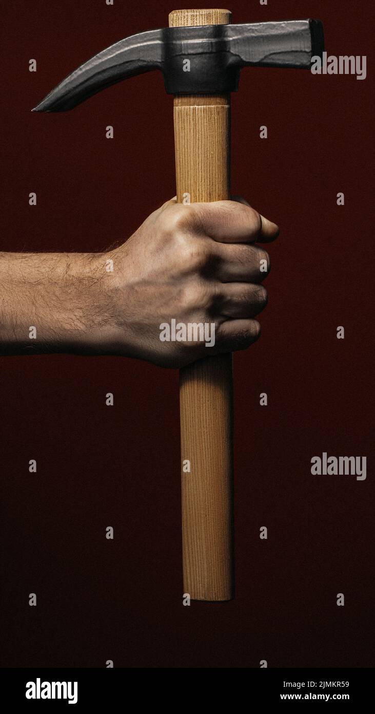 martello manuale a griffa professionale Foto Stock