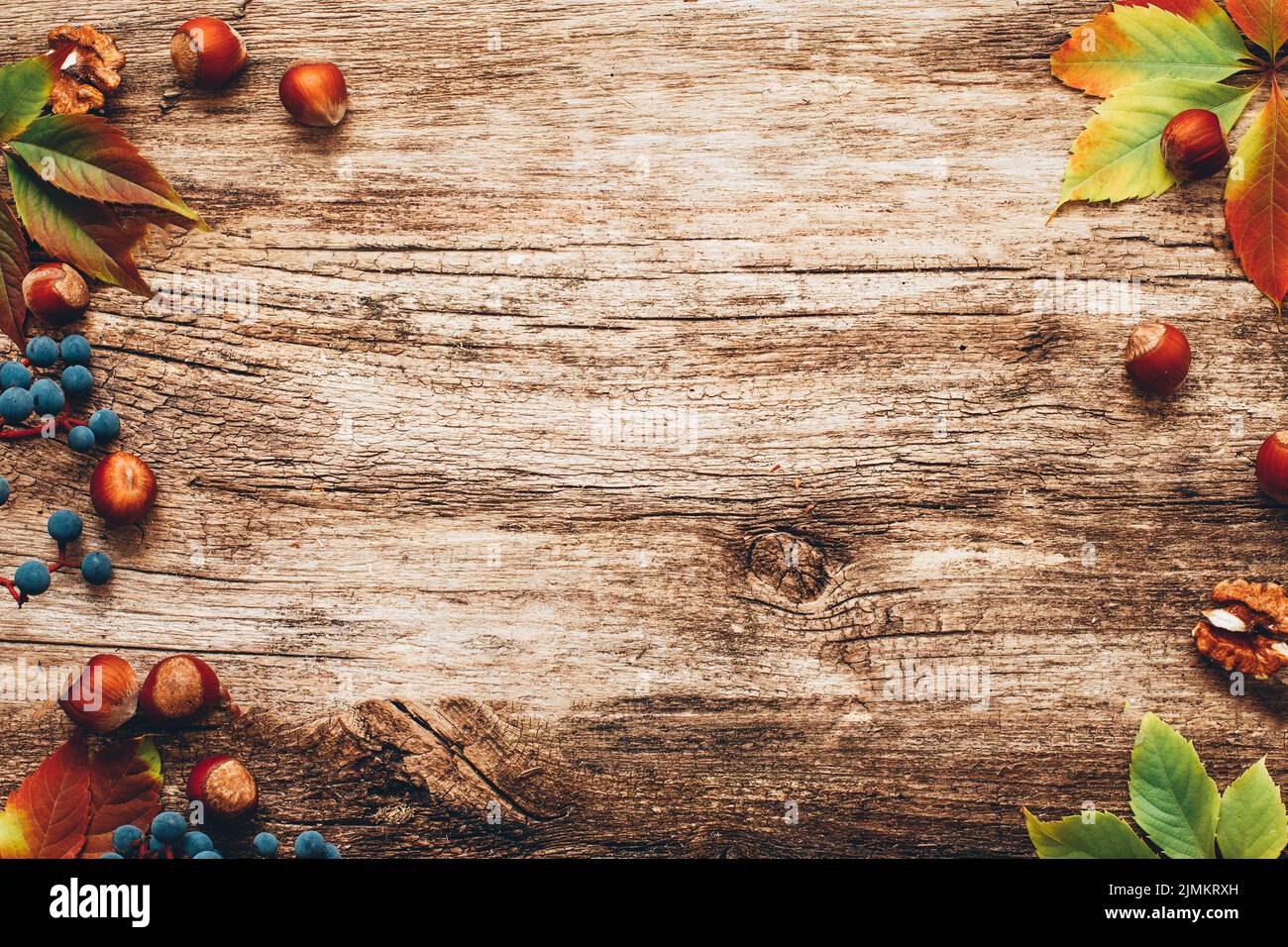 autunno bakground tempo di raccolta frutta a guscio foglie d'uva Foto Stock