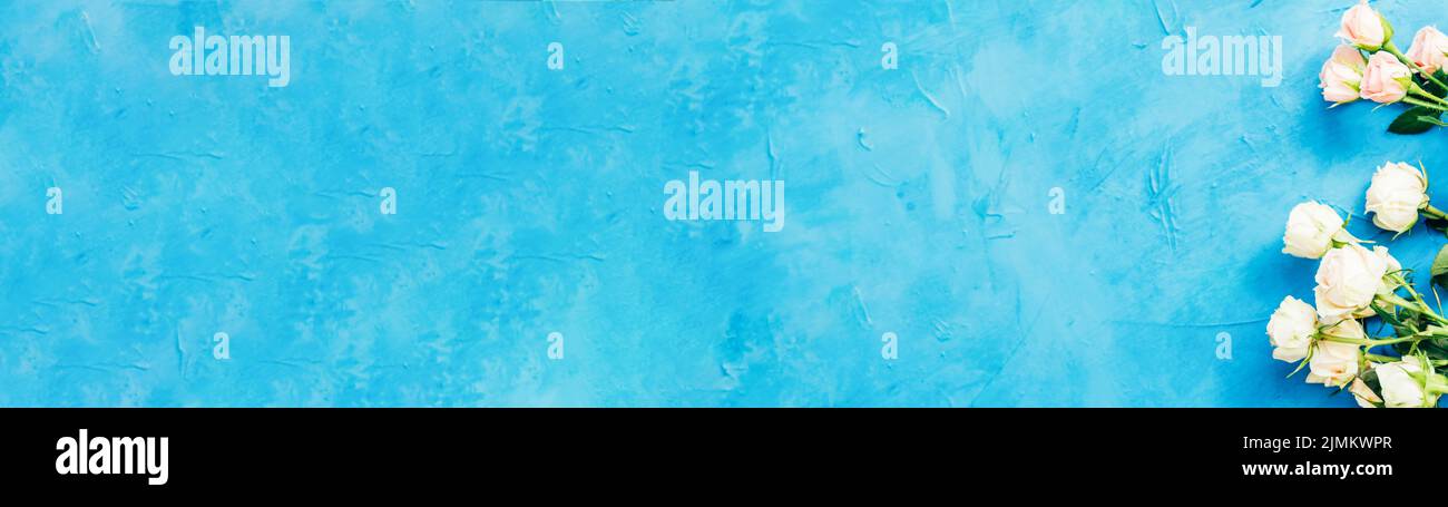 sfondo floreale fresco bianco rose superficie blu Foto Stock