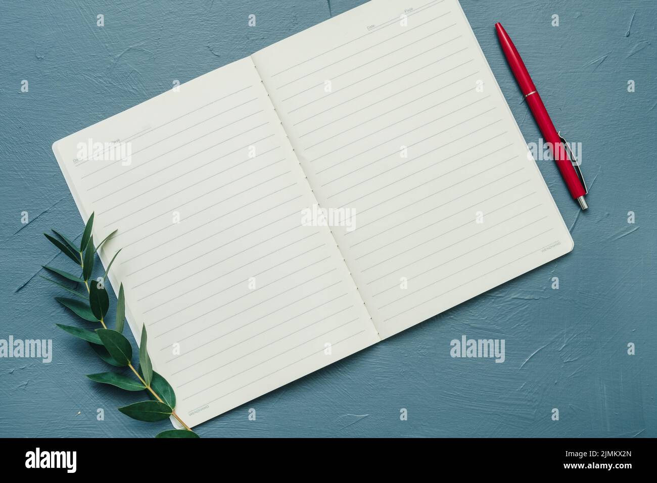 aprire bianco notebook verde naturale sprig decor penna Foto Stock