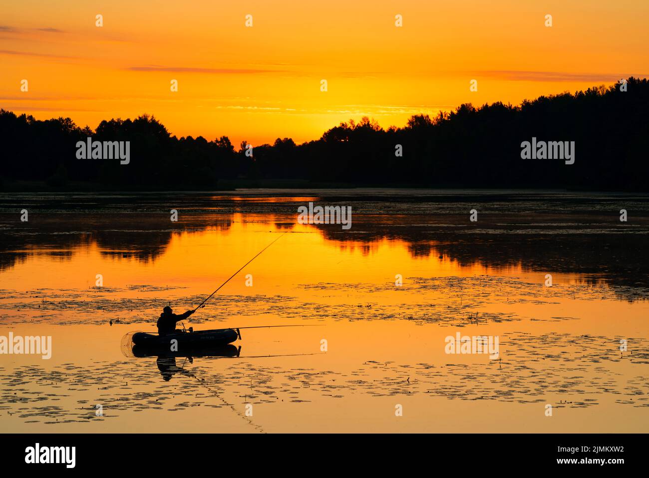 Natura della Bielorussia, paesaggio estivo sul lago Foto Stock