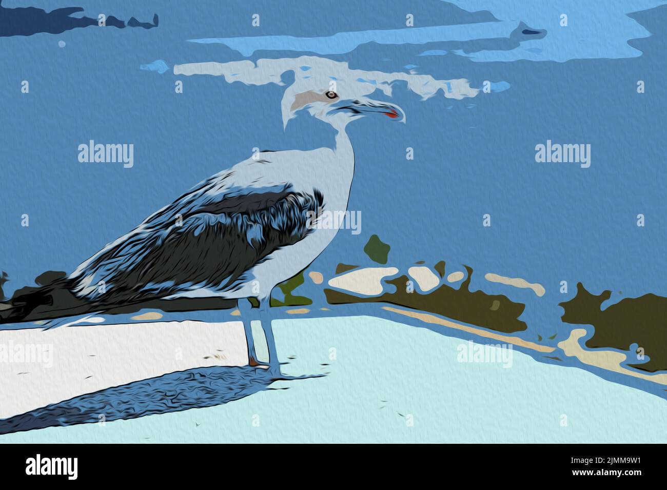 Seagull riposo e cura dopo l'immersione successiva Foto Stock