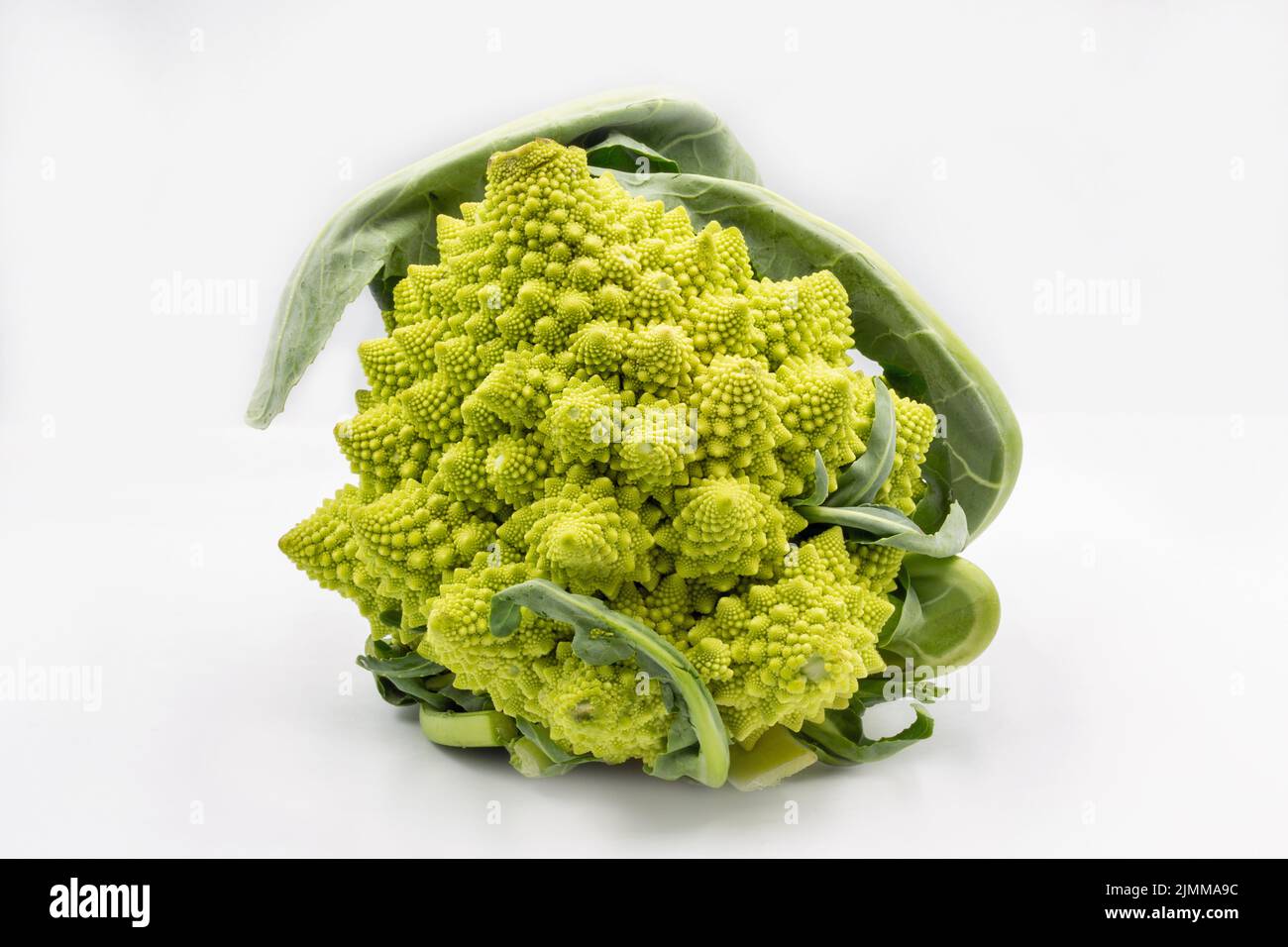 Romanesco broccoli o cavolfiore romano primo piano su bianco Foto Stock