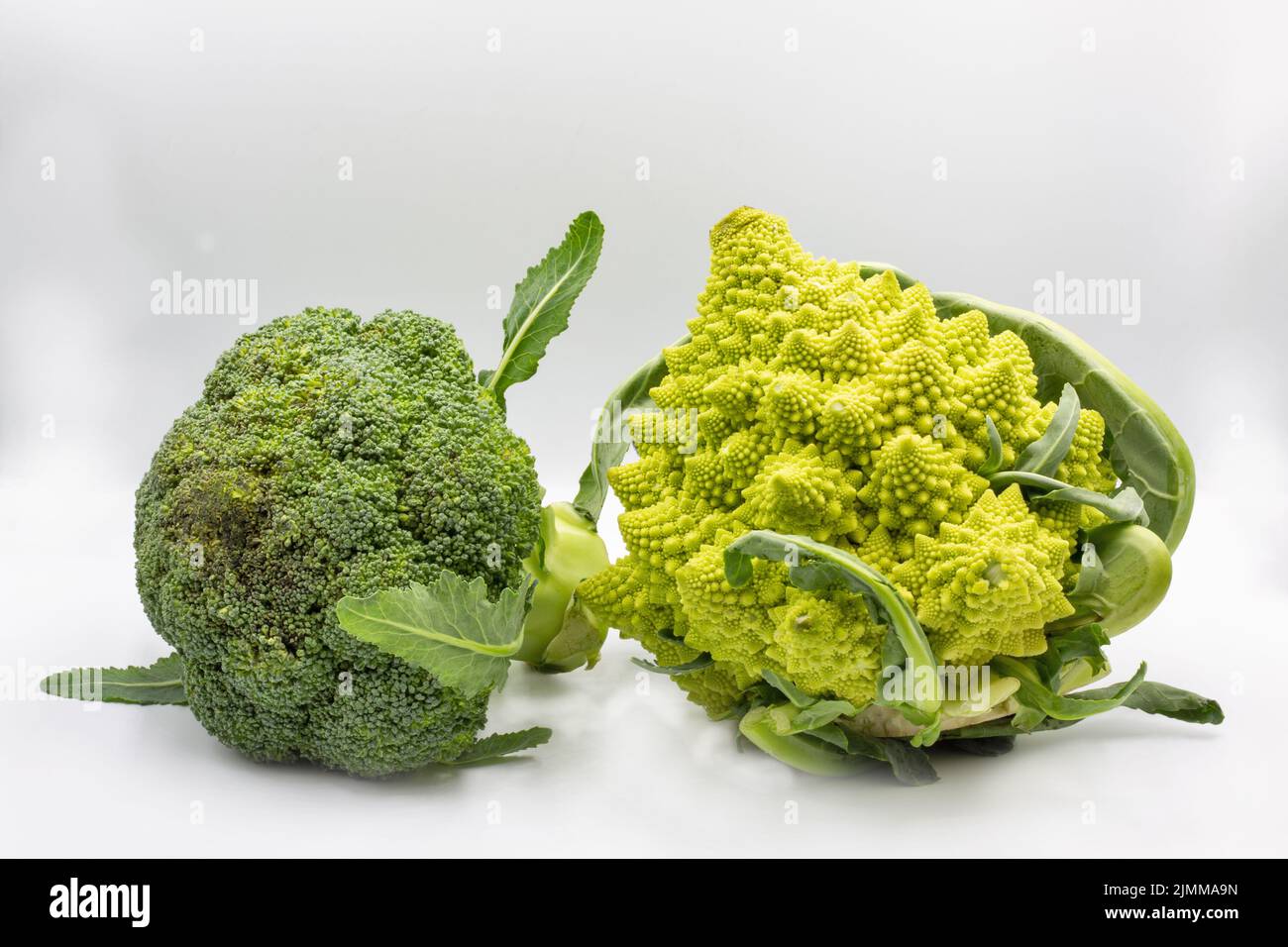 Romanesco broccoli o cavolfiore romano primo piano su bianco Foto Stock