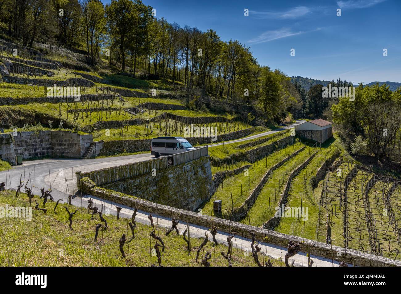 Un camper grigio parcheggiato nei vigneti terrazzati della Galizia nella valle della Ribeira Sacra Foto Stock