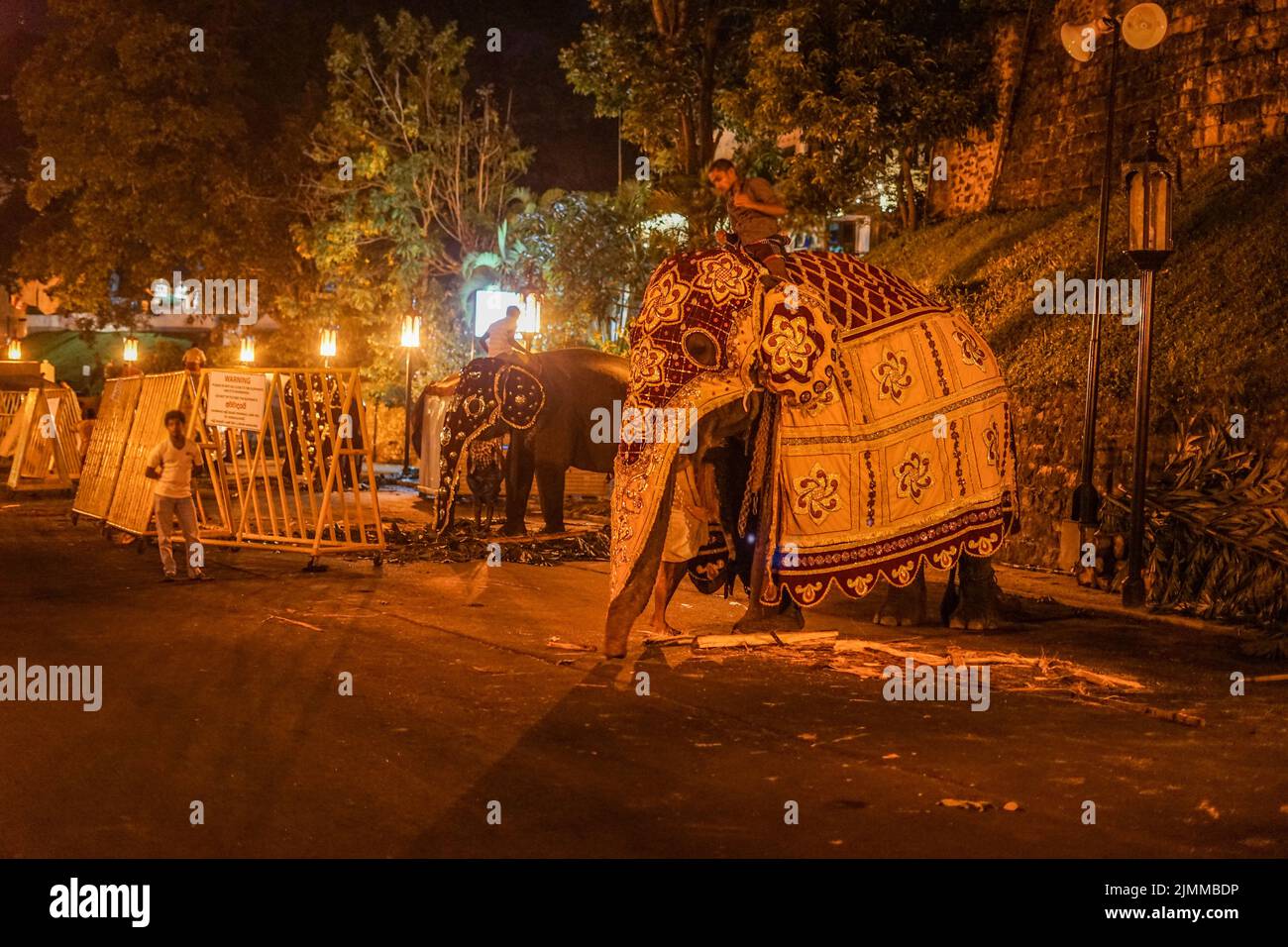 Immagine dell'elefante dello Sri Lanka (caramella dello Sri Lanka) Foto Stock