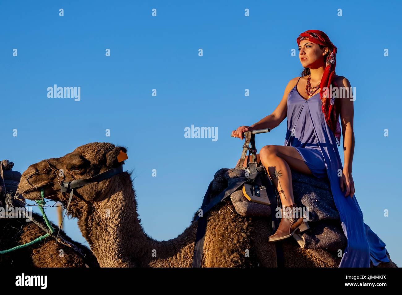 Una bella modella guida Un cammello dromedario attraverso il deserto del Sahara sui loro cammelli in Marocco Foto Stock