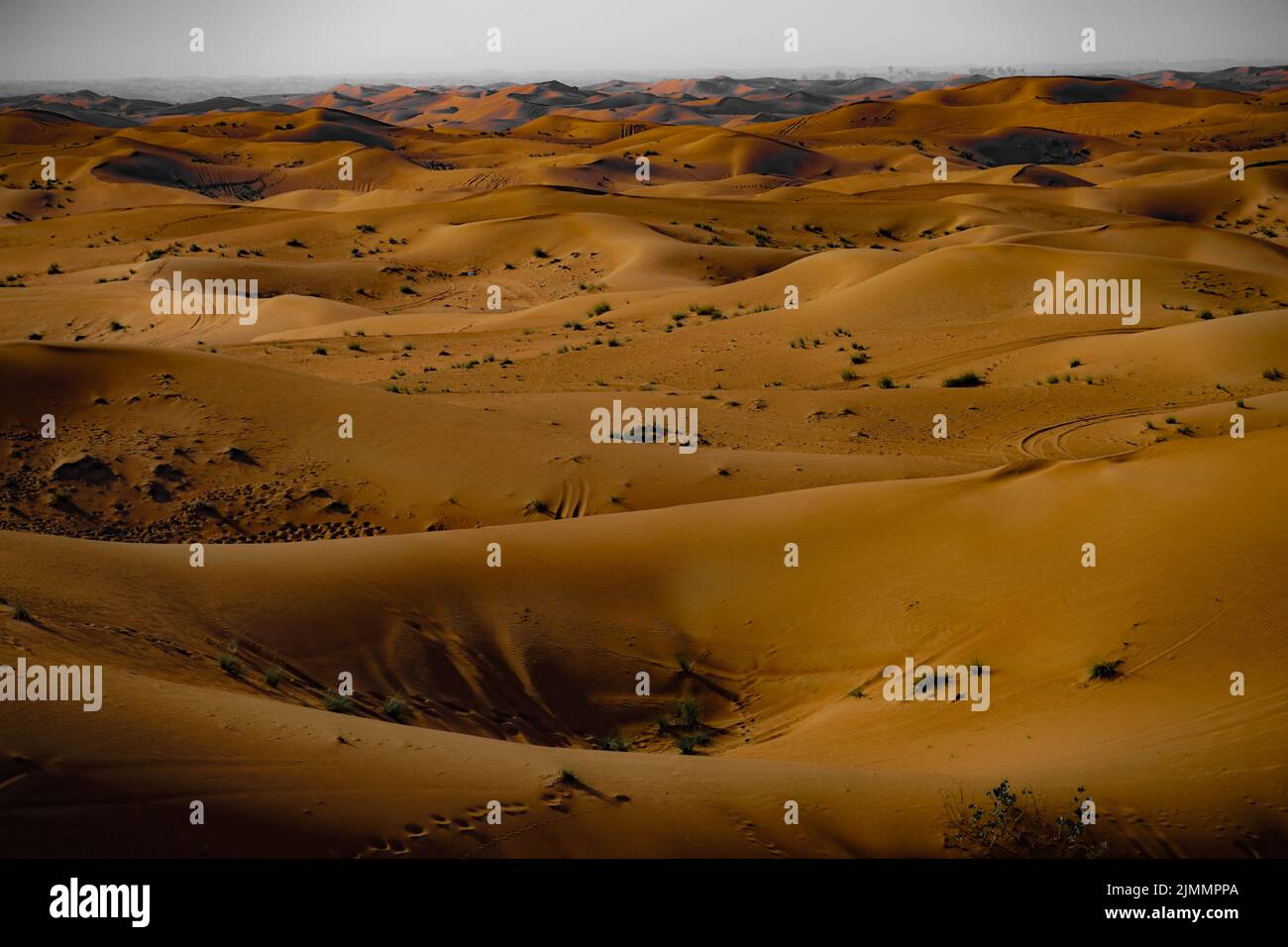 Immagine del deserto arabo Foto Stock