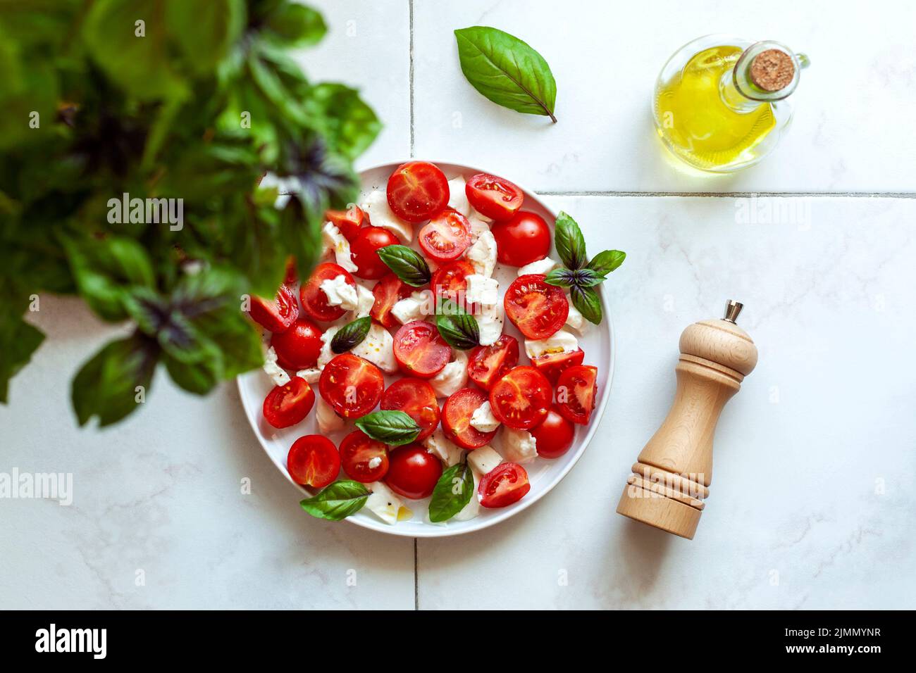 porzione di insalata caprese sotto la pianta del basilico, concetto di giardinaggio domestico, vista dall'alto, copyspace Foto Stock