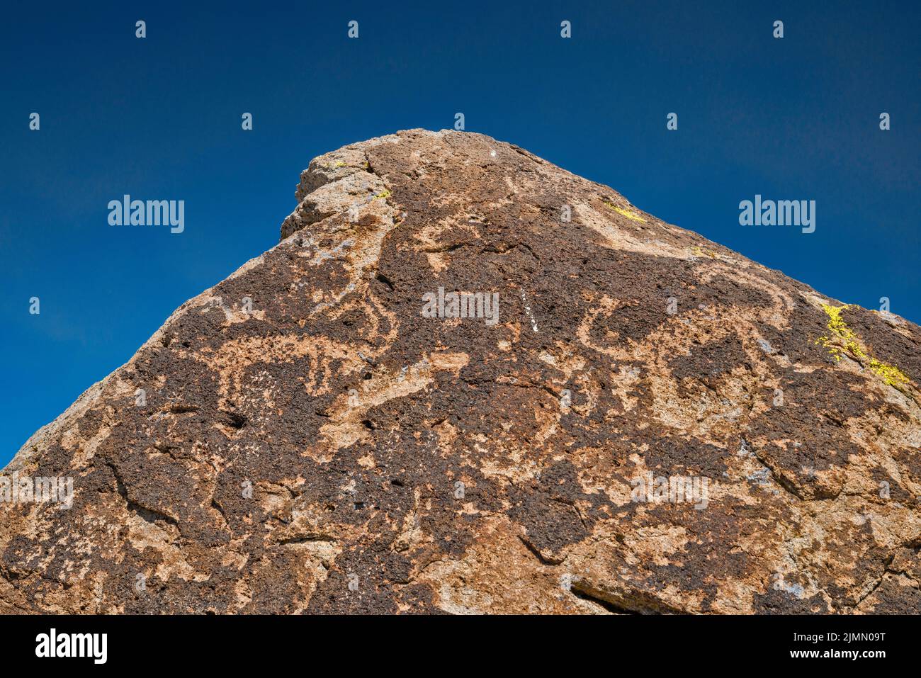 La pecora di Bighorn figura i petroglifi all'affioramento del tufo, il sito d'arte della roccia di Ash Springs, la valle di Pahranagat, vicino ad Ash Springs, Nevada, Stati Uniti Foto Stock